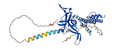 KCNJ2 3D structure