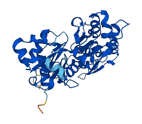 ACTG1 3D structure
