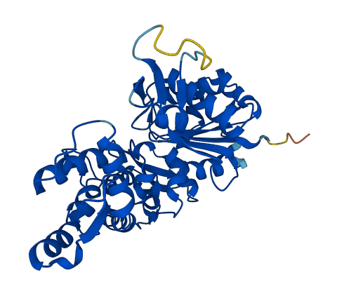 ACTG2 3D structure
