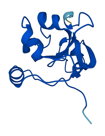Supt4h1a 3D structure