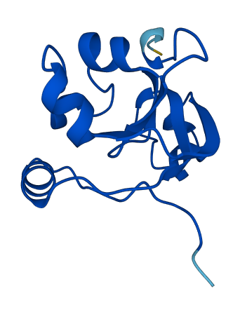 SUPT4H1 3D structure