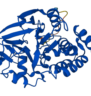PPP2CA 3D structure