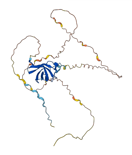 YBX1 3D structure