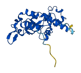 CSNK2B 3D structure