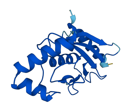UBE2L3 3D structure