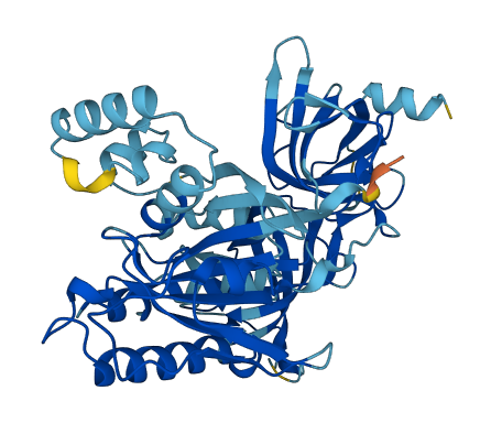 EEF1A1 3D structure