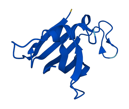 FKBP1B 3D structure