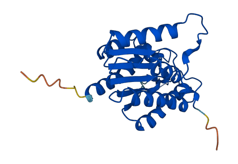 PAFAH1B2 3D structure