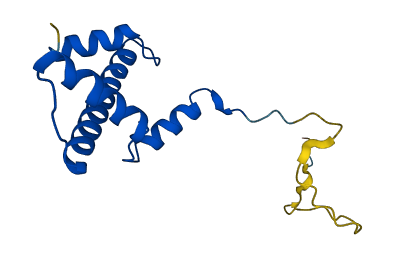 H3C1 3D structure