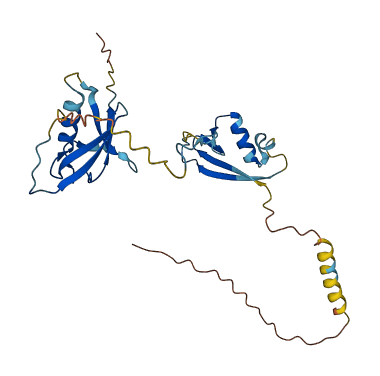 UBXN2A 3D structure