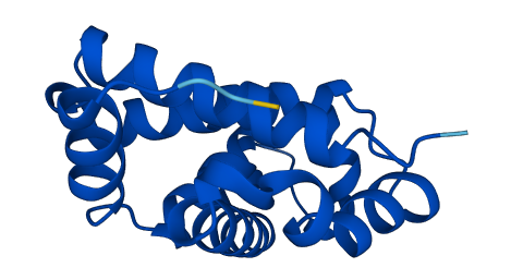 HBB 3D structure