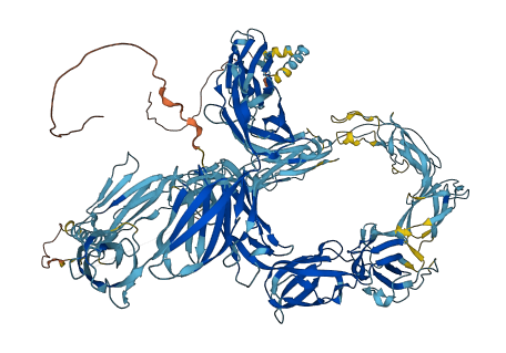NOMO3 3D structure