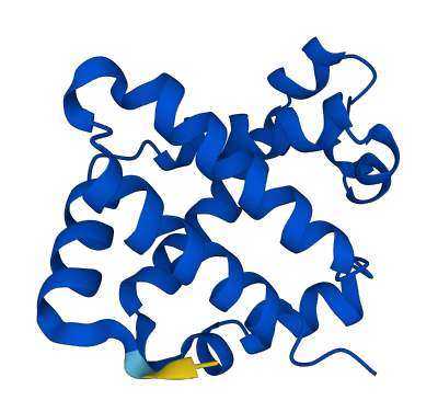 HBG2 3D structure