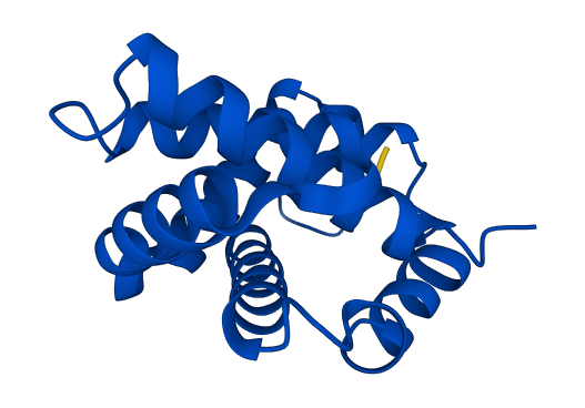 HBA1 3D structure