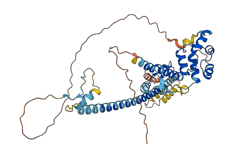 Fv1 3D structure