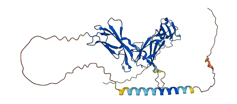 Il11ra2 3D structure