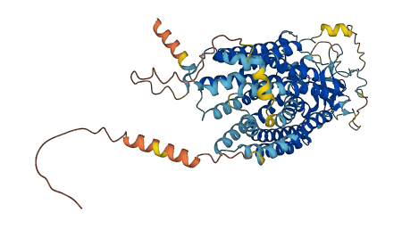Slco1a3 3D structure