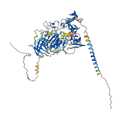 Adam1 3D structure