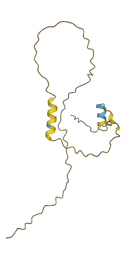 Tsx 3D structure