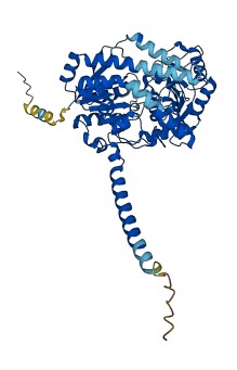 Ugt1a2 3D structure