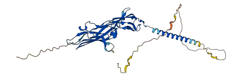 CXADR 3D structure