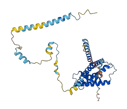 IGBP1 3D structure