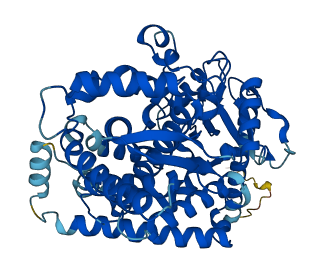 CYP4F2 3D structure