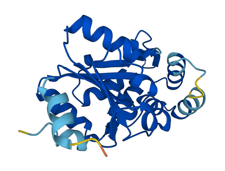 PSPH 3D structure