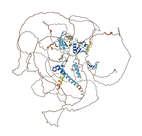 RBM6 3D structure