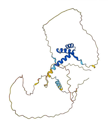PITX1 3D structure