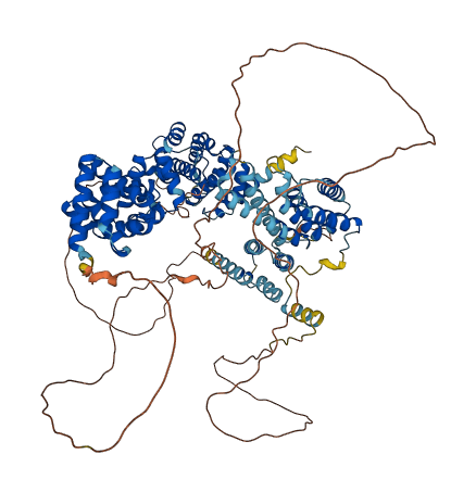 EIF4G2 3D structure