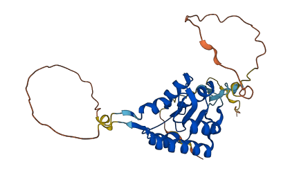 RPP38 3D structure