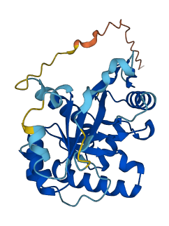 RPP30 3D structure