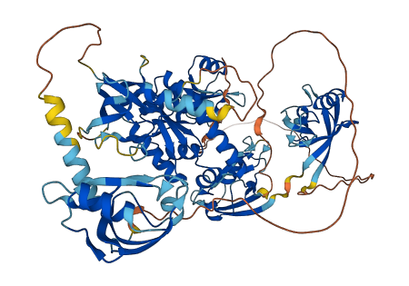 DLG4 3D structure