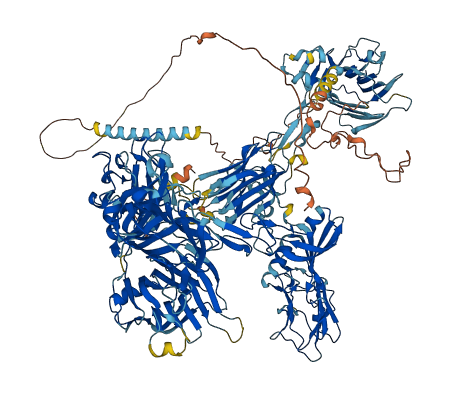 CNTNAP1 3D structure