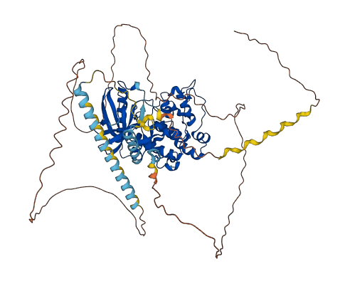 SRPK2 3D structure