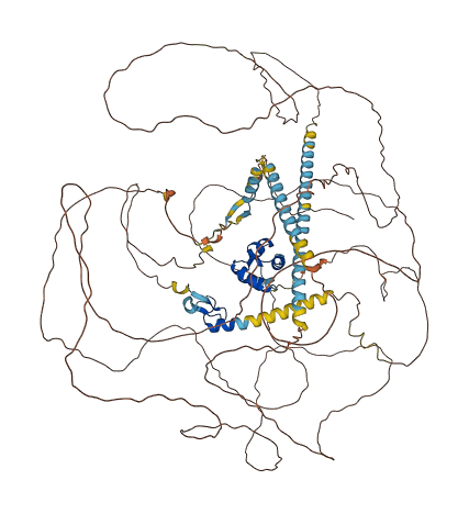 PHC1 3D structure