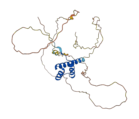 NKX3-2 3D structure