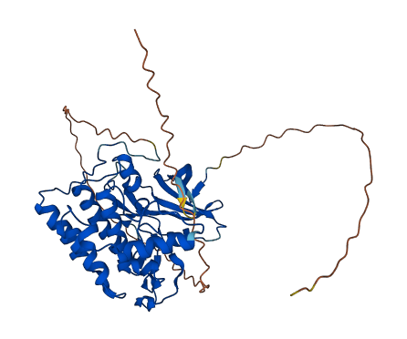 CSNK1G2 3D structure
