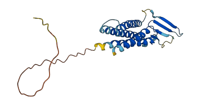 CLDN10 3D structure