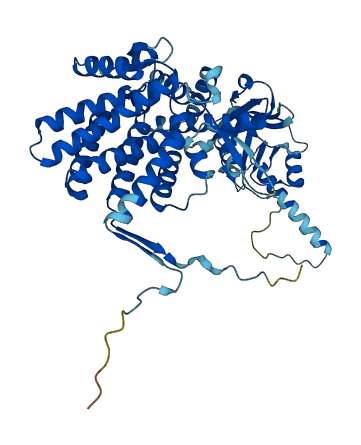 CCT2 3D structure