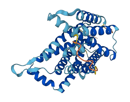 SLC35B1 3D structure