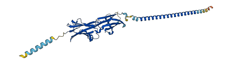 BTN3A2 3D structure