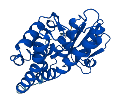 GSTO1 3D structure