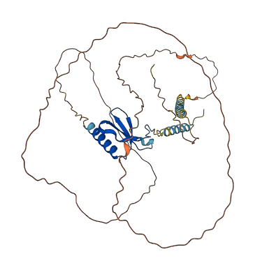 CX3CL1 3D structure