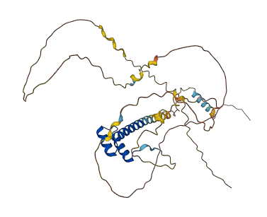 NKX6-1 3D structure