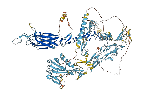 JAG1 3D structure