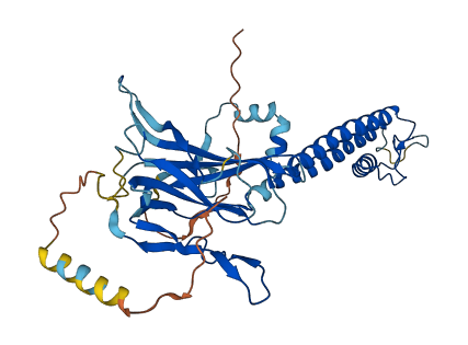 KCNJ10 3D structure