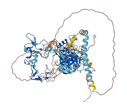 ADAM17 3D structure