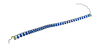 BLOC1S1 3D structure
